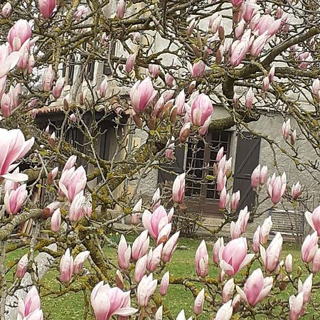 La Grange Villa Le Plan  Dış mekan fotoğraf